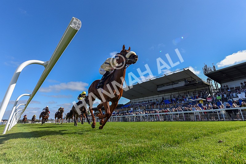 180924-Race 2-American Style-7226 - Race 2