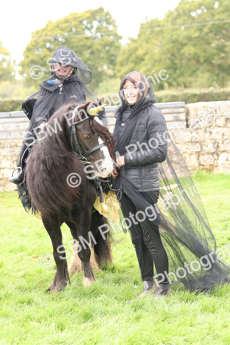 SBM_62187 - S37b - Best Unicorn