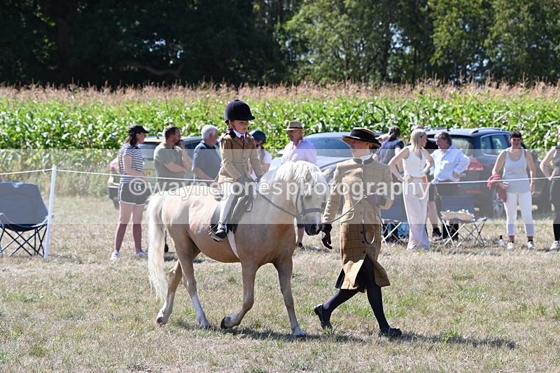 WJ6_8051 - Class 36 Lead Rein