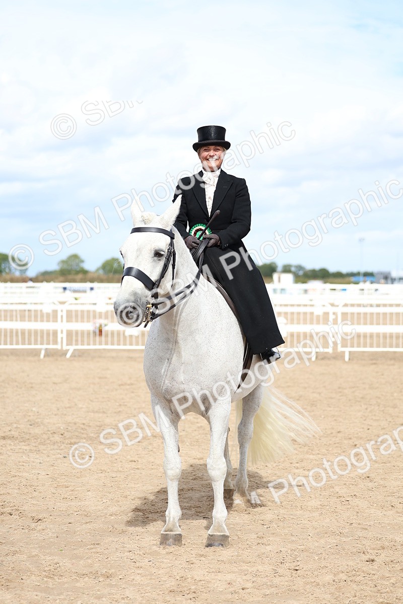 SBM_03275 - Class 22 - SSA Equitation (any age)