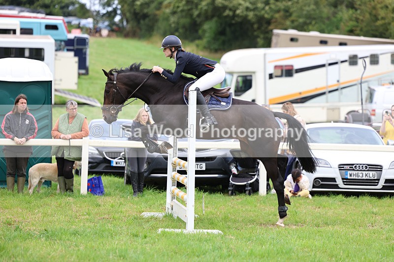 3E7A6982 - Class 5: Senior British Novice/90cm open