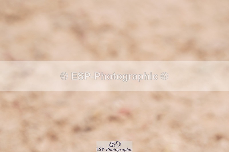 250621-125736-07543 - RoR Cls 2b-2c, Intro