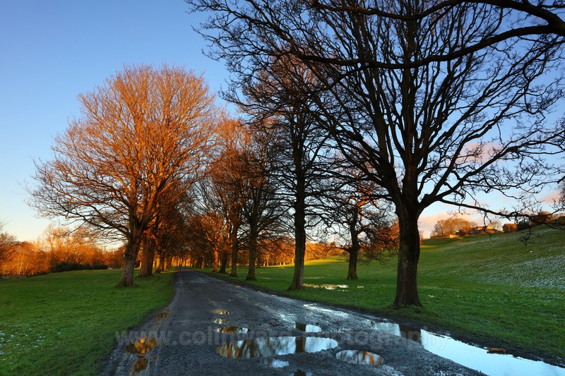 The Avenue.       Ref 6871 - County Durham