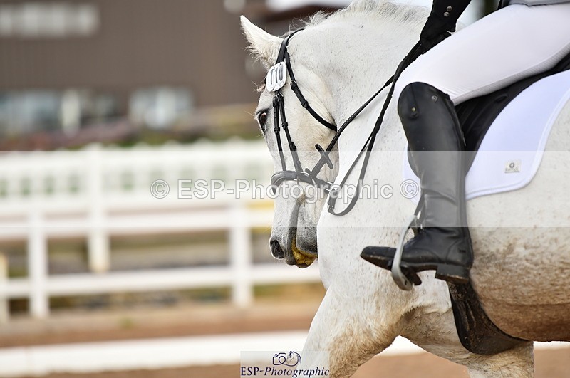 231104A-114658-01595 - Cls 5 Novice 37A