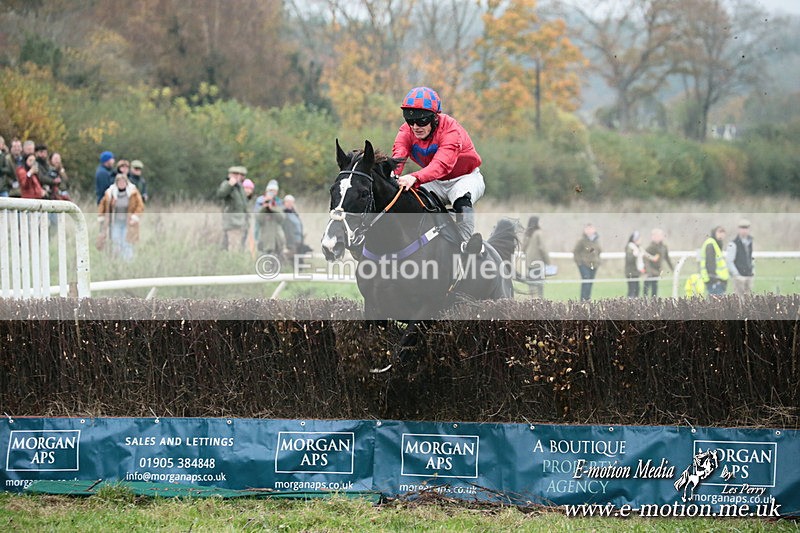 PtP 091124  411 - Knightwick Races Point-to-Point 09/11/24