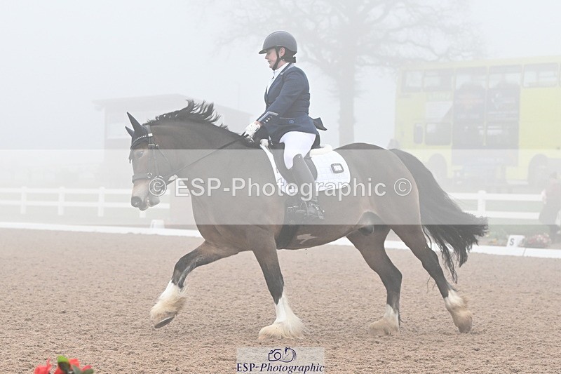 240217A-125721-02725 - 251-Alison.Crimp-Crwys.Beau