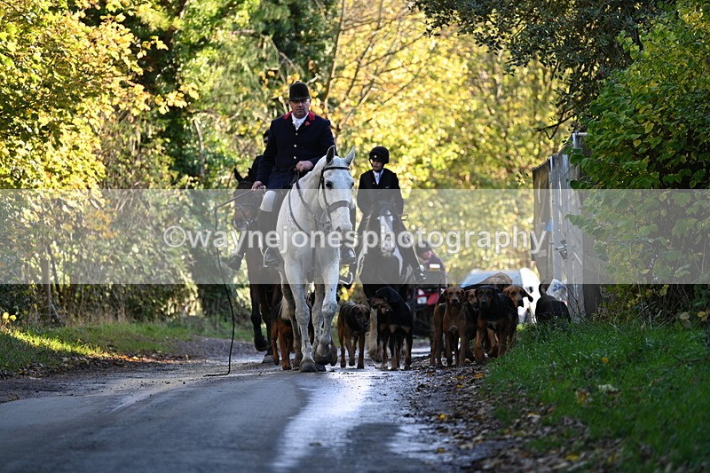 WJ7_8603 - Walk Home