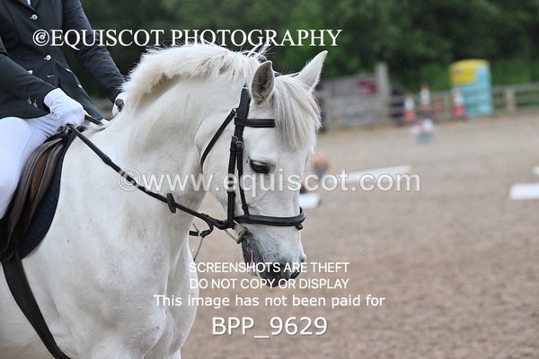 BPP_9629 - 40 A FRIEL