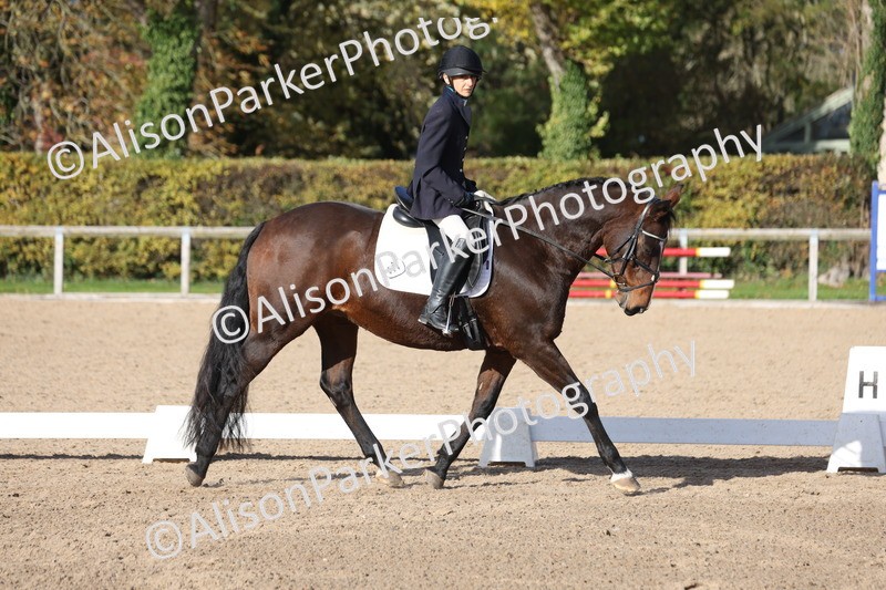 20251101-0635 - Class 5 - Novice 3