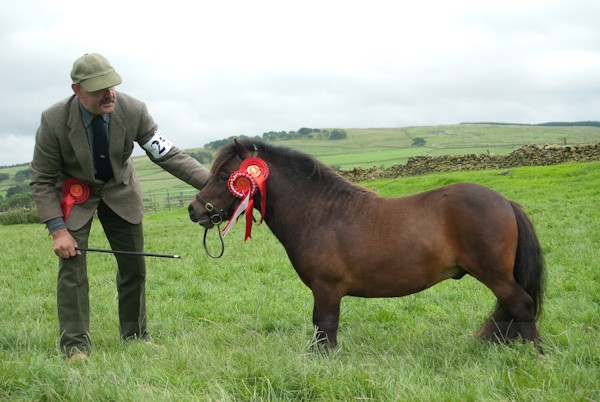 3 - Moniaive Horse Show 2010