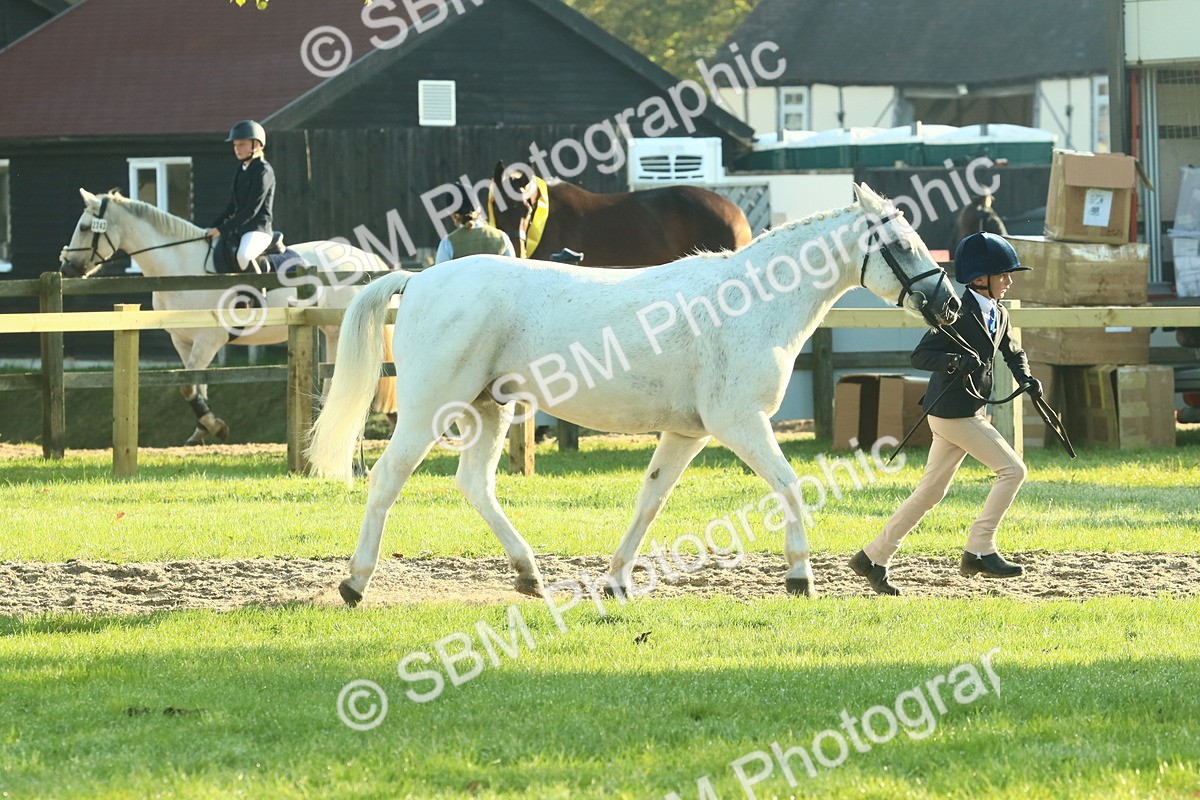 SBM_57355 - S37 - Starters In Hand Showing