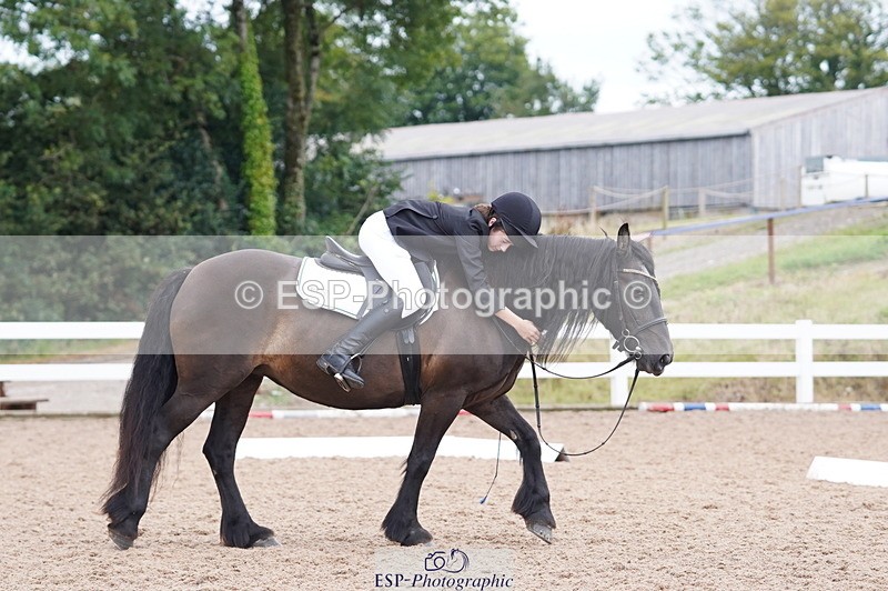 240809A-095442-00361 - Dressage Competition