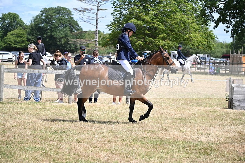WJ6_5411 - Class 12 Minimus Jumping 45cm