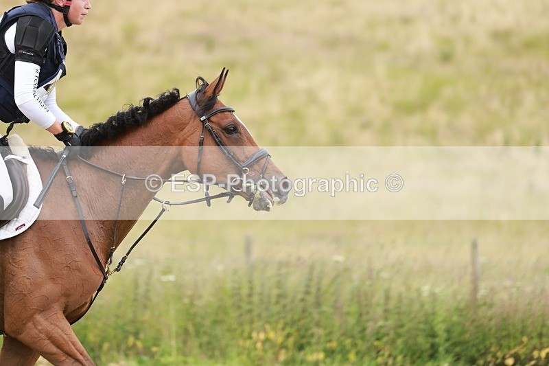 240630X-162434-9495 - 424-Sophie_Walker-ALL_ABOUT_IMAGE