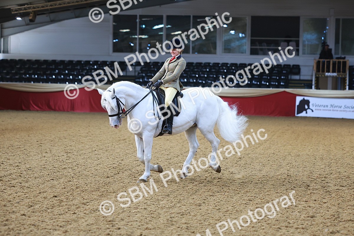 SBM_07672 - Class 101 - HOYS Veteran Qualifier - Ridden Diamond