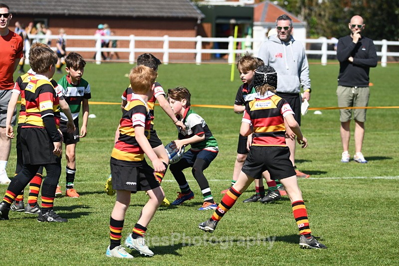  - Selby Rugby Festival 2025