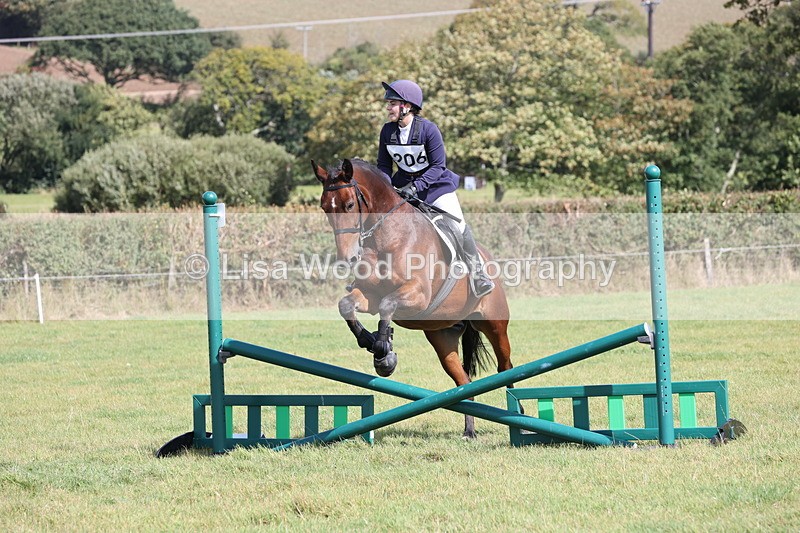 JPP_8691 - Class 2: Trekenning: 80cm Showjumping