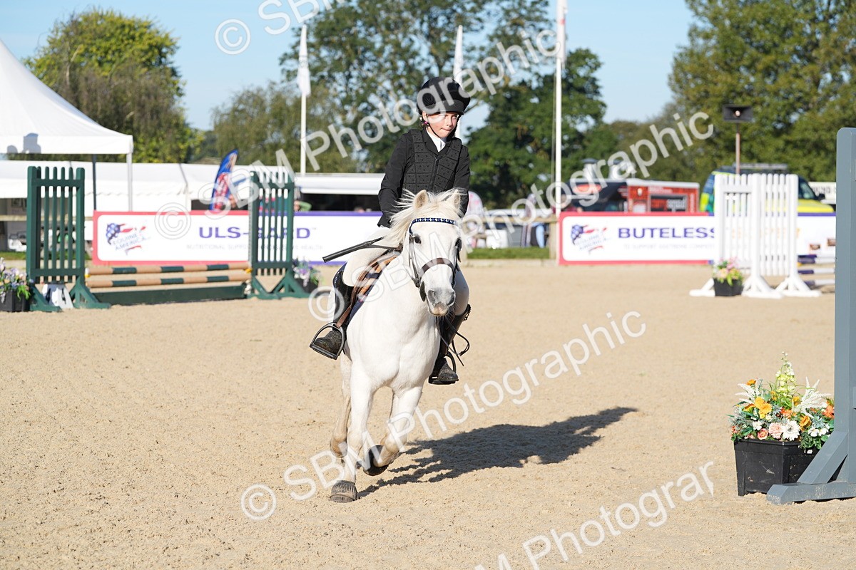 SBM_34398 - J62 - Clear Round 50cm