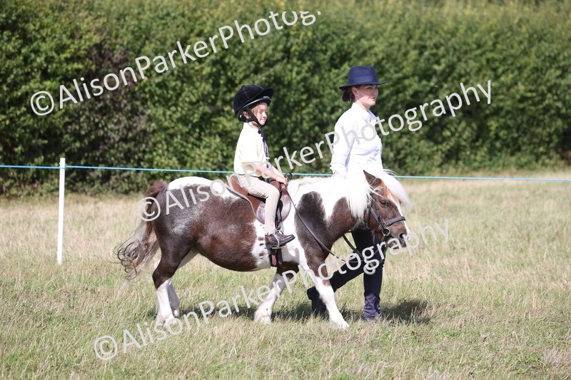 20260906-2734 - Class 25 - Absolute Beginners Pony