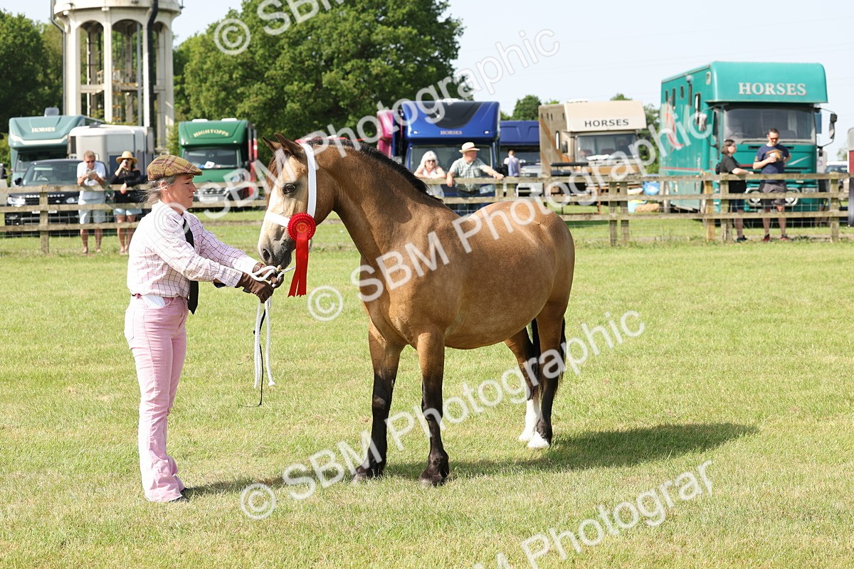 SBM_02161 - Class 6-13 - Mountatin and Moorland In Hand Welsh Breeds