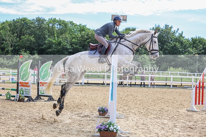 3E7A7578 - Class 9: Senior Foxhunter/1.20 open