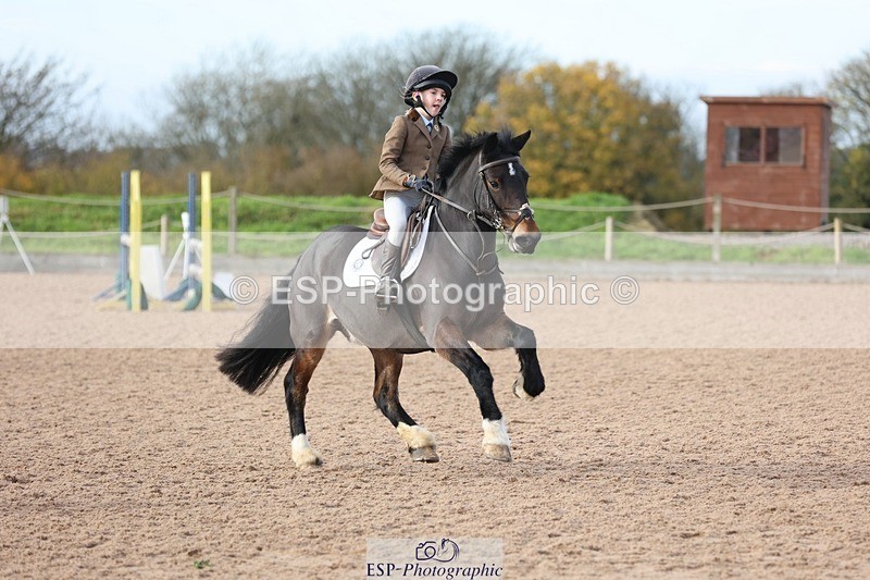 241117X-105016-03893 - Cls 27&28s 80cm