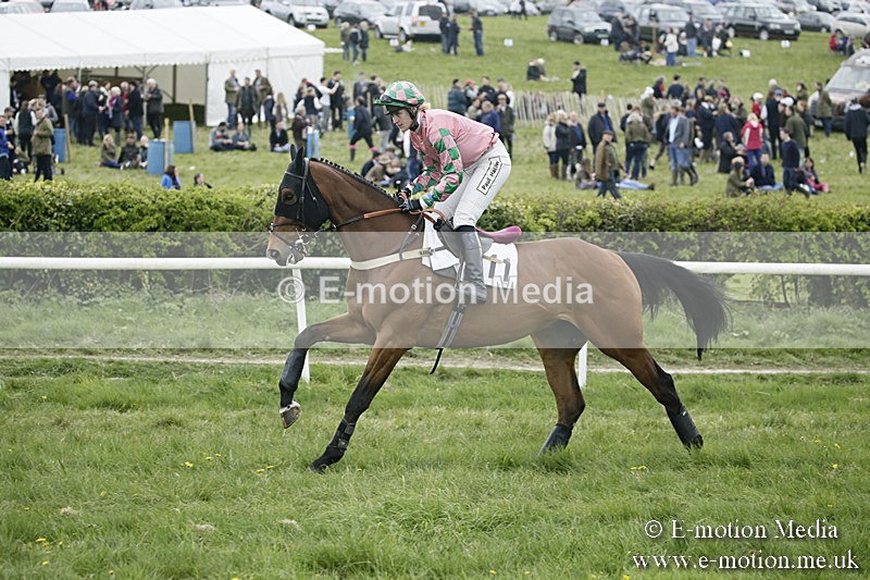 PtP 170417 493 - Old Berks Point-to-Point Lockinge 17/04/17