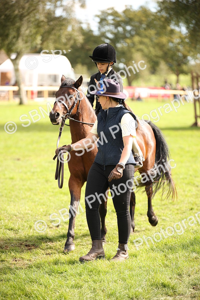 SBM_50025 - S26 - Young Veteran - Ridden