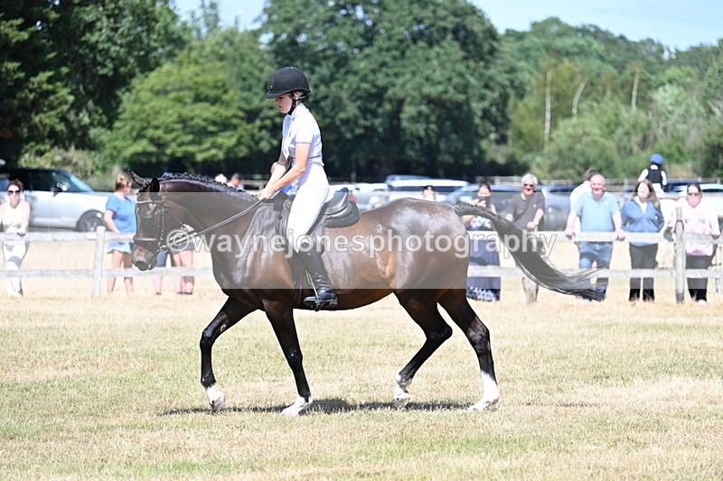 WJ7_3514 - Class 8 Ridden Veterans