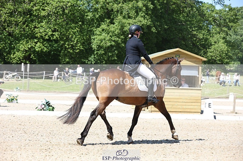 230526-113824-06089 - 154-GELUK_G-Molly_Adams-WEDTrotUp+DR
