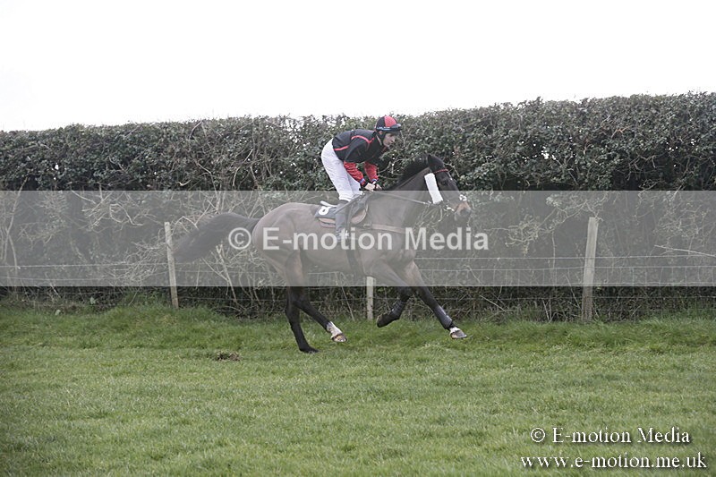 PtP 040218 136 - Point-to-Point Milborne St Andrew 04/02/18