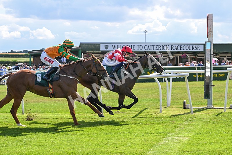 160725-Race 4-Lady Bouquet-9159 - Race 4