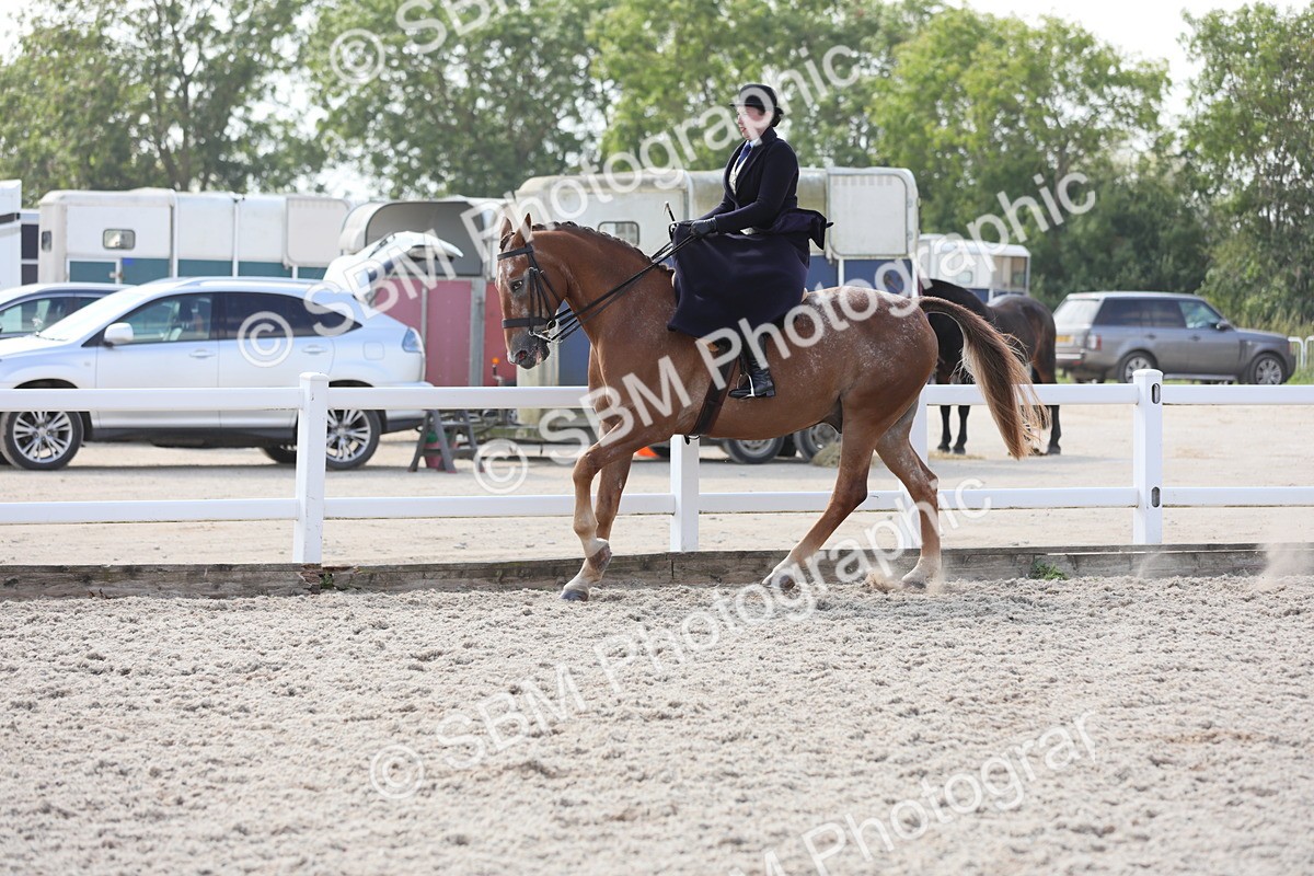 SBM_14572 - Class 211 Best Side Saddle Horse/Pony