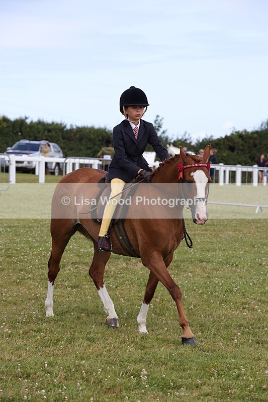 1X9A3914 - Class 31: Show Pony 148cm and under