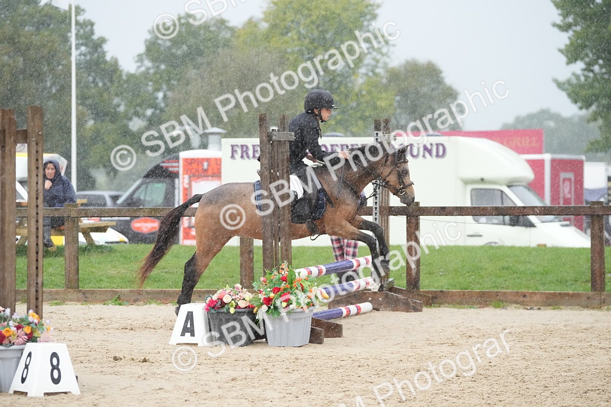 SBM_33510 - J5 - Junior Pony 50cm Championship