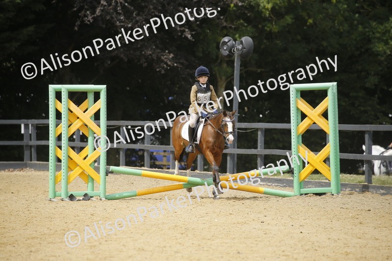 20250622-4757 - 50cm