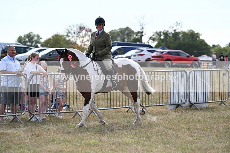WJ7_7773 - Ridden Championship