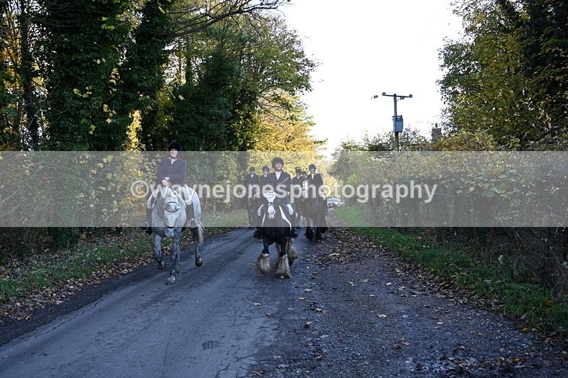 WJ6_9779 - Walk Home