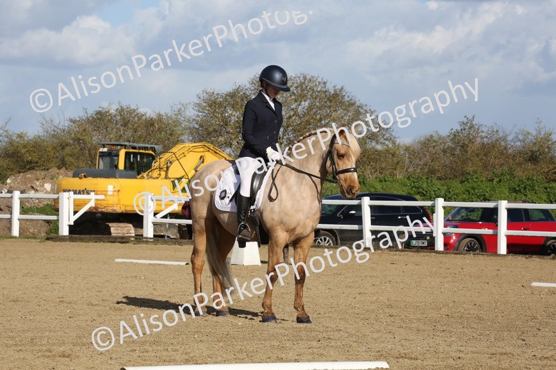 20260314-5184 - DR6 - Novice 2