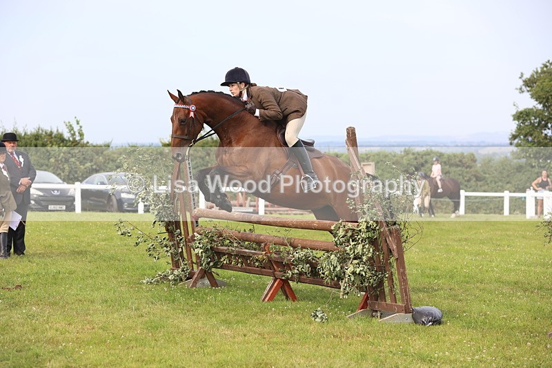 JPP_4182 - Class 25: Working Show Horse
