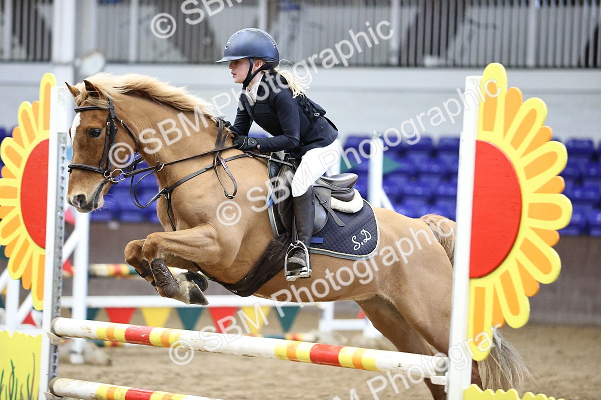 SBM_001479 - Class 9 - Pony British Novice 80cm