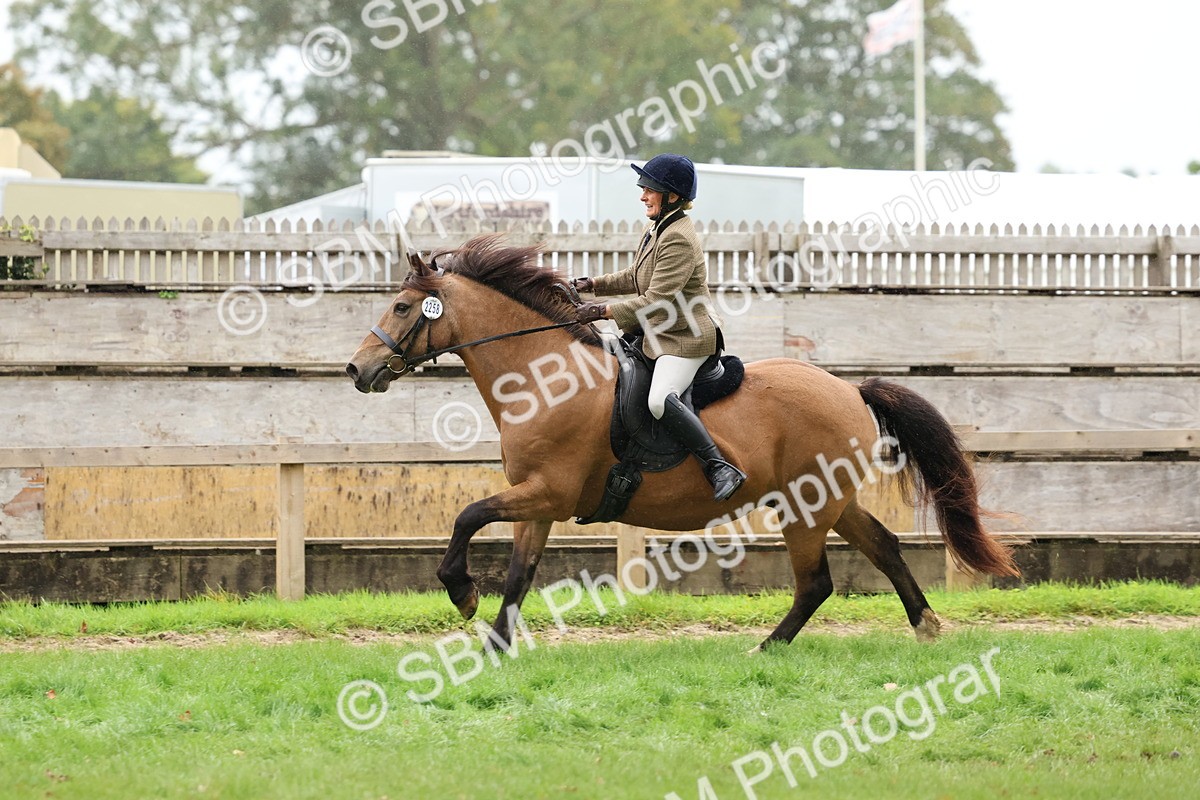 SBM_69675 - S62 - Mountain & Moorland Ridden Large Breeds