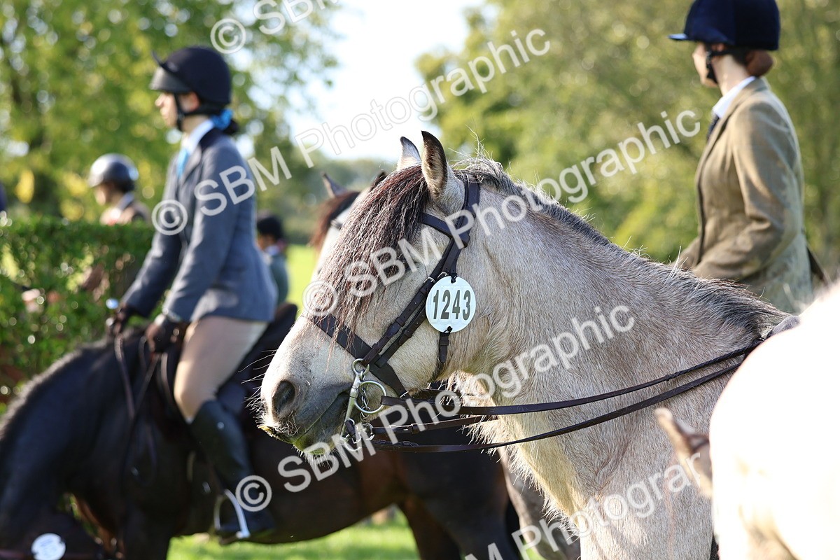 SBM_36914 - S11 - Best Ridden Horse & Pony