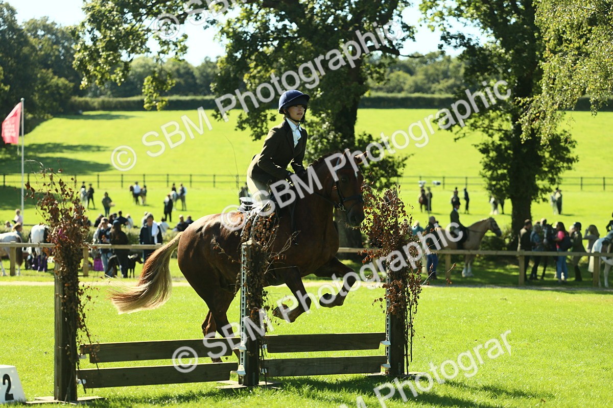 SBM_39156 - S29 - Novice & Newcomers Working Hunter Pony