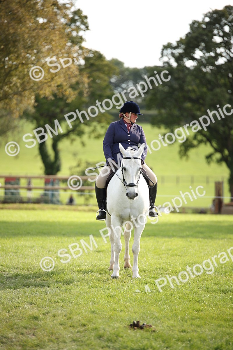 SBM_50205 - S26 - Young Veteran - Ridden