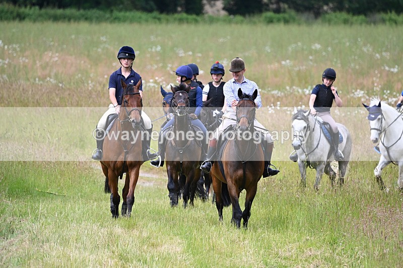 WJ6_7856 - Camera 1 Gallops