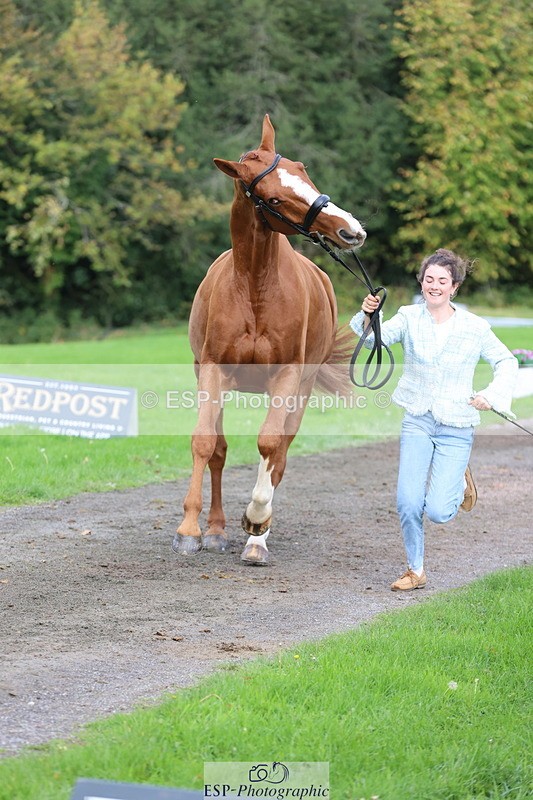 251026A-115302-25738 - G-560-Josie.Dix