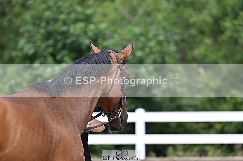 250716-125816-00254 - Trot Up 12.30 to 1.30