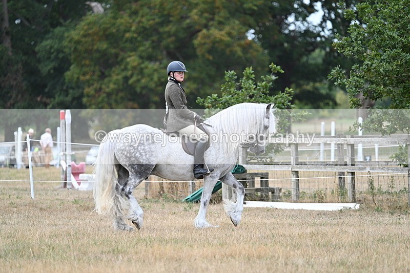 WJ7_4719 - Class 12 Ridden Cob