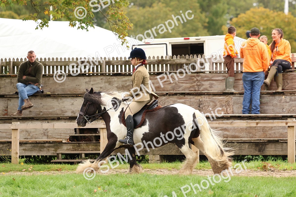 SBM_59977 - S36 - Rehabiliated Rescue Horse & Pony In Hand & Ridden